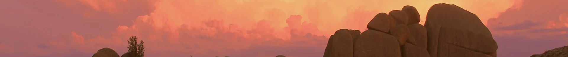 Page Banner Image